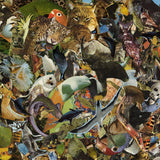 Antti Tolvi // Taikuri Tali LP