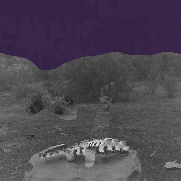 Tender Crust // Convexity CD