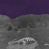 Tender Crust // Convexity CD