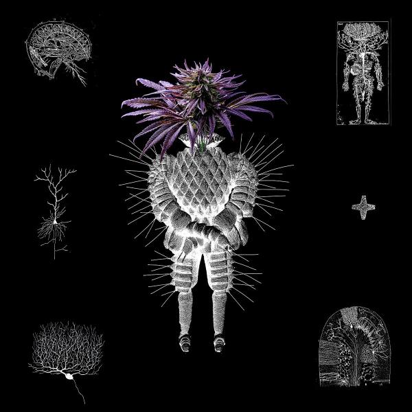 altarf / denev // 123.ro - VA04 12inch