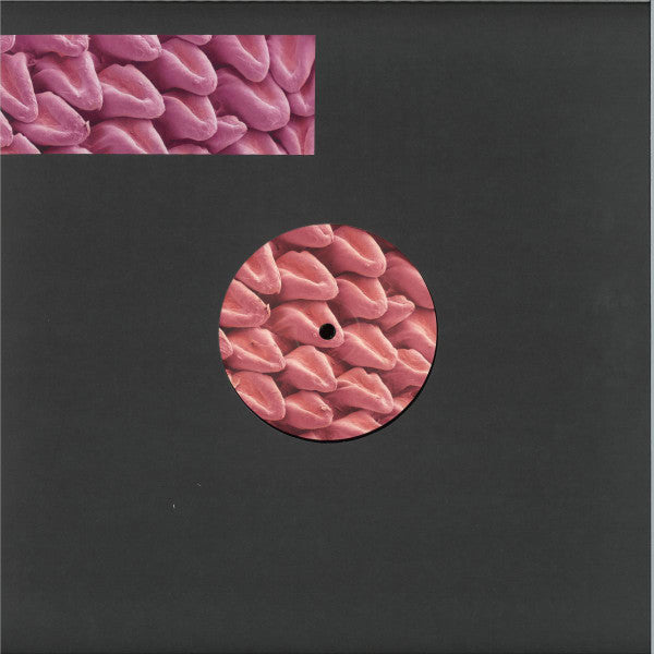 Various Artists (Fastgroove Klub) // Expansions 12inch – Tobira