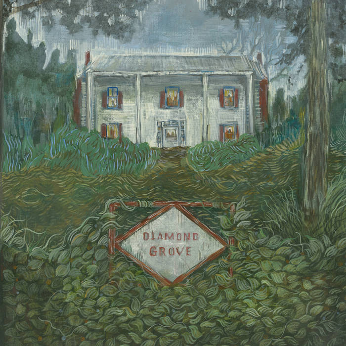 Weirs // Diamond Grove LP