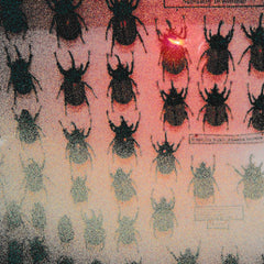 POLT. // While I Am Decaying Like A Rotten Thing, Like A Garment That Is Moth-Eaten TAPE