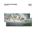 Petre Inspirescu // Traces of the wind 2x12inch