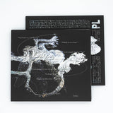Guixine // Woodland Fantasies CD