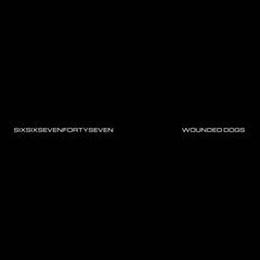 Sixsixsevenfortyseven // Wounded Dogs LP
