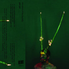 Yan Jun // the return of the stupidity TAPE