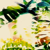 0fret // BT1 TAPE