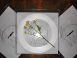 Furrr // Untitled LATHE-CUT 7"