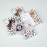 Felisha Ledesma // Sweet Hour TAPE
