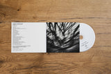 Bruno Duplant // paysages sans âge III CD