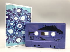 Seth Kasselman // UV Catamaran TAPE