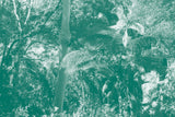David Toop, Akio Suzuki, Lawrence English // Breathing Spirit Forms CD+POSTER