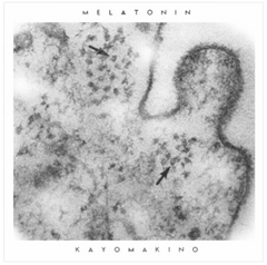 Kayo Makino // malatonin mix CDR