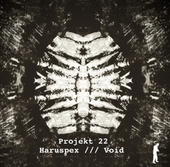 Projekt 22 // Haruspex / Void 12inch