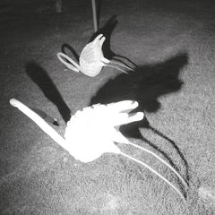 SIAVASH AMINI // A Mimesis Of Nothingness LP