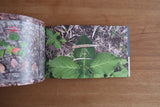 食品まつり aka foodman // YASURAGI, ITAWARI, HIROGARI PHOTOBOOK