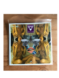 Afrika Pseudobruitismus // Unicornios De La New Age CDR