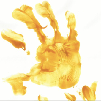 Flora Sullivan Kelly // S/T TAPE