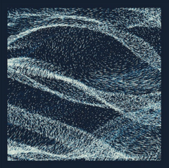 Julia Gjertsen & Nico Rosenberg // Paisajes Imaginarios TAPE