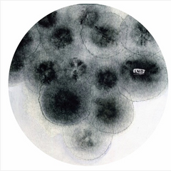 ETCH // Thematic Clusters Of Storytelling LP