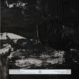 Raborb // Mystic Followers 12"
