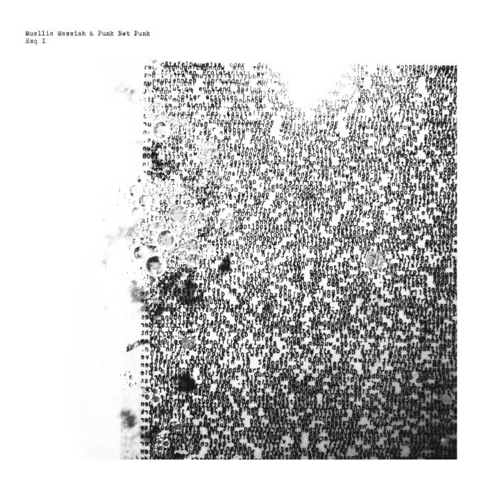 Muellie Messiah & Punk Not Punk // Exq I LP
