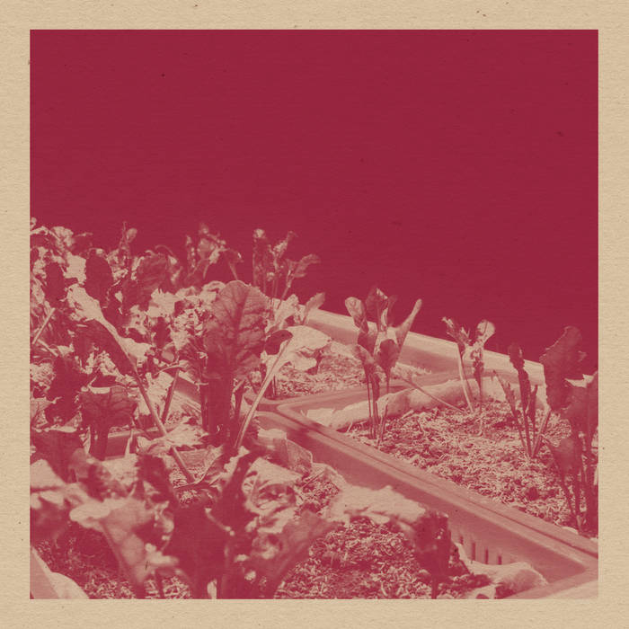 David Vélez // Beta Vulgaris CD