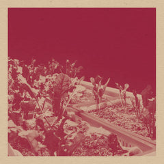 David Vélez // Beta Vulgaris CD