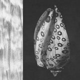 Yolabmi // By The Sea TAPE