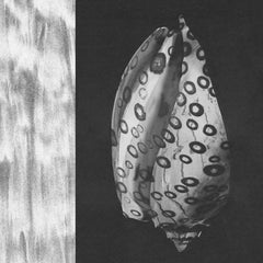 Yolabmi // By The Sea TAPE