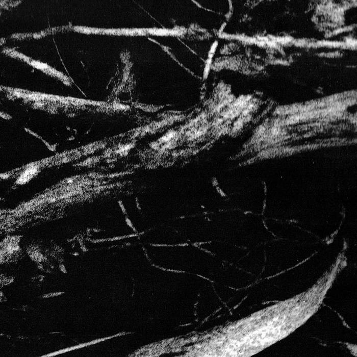 Small Cruel Party // Islands Of Sleep CD