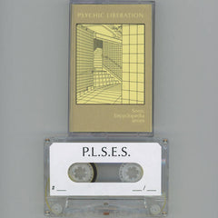 Night Foundation // PLIB SES 003 - I HAD A FEELING TAPE