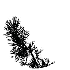 Phill Niblock // MMXX-12 : BROWNER LP