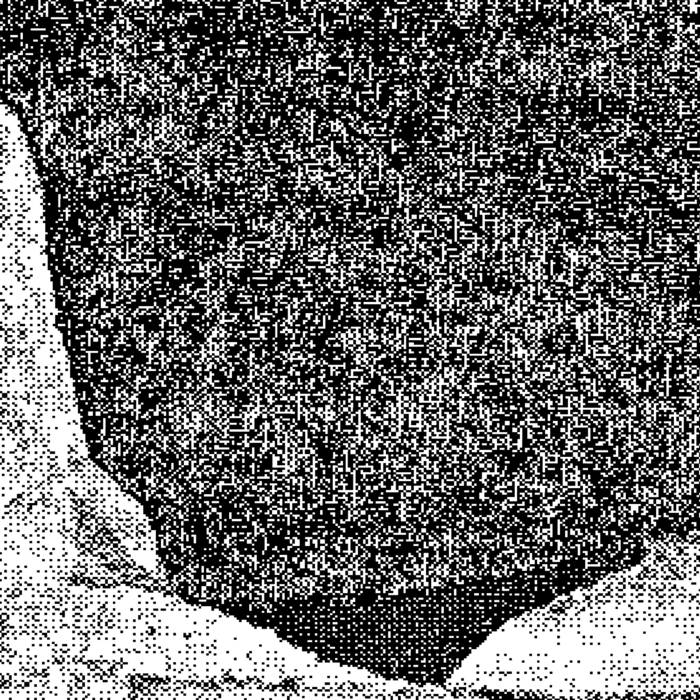 Dit Sese // Live at Forestlimit TAPE