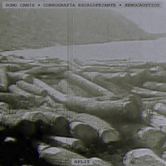 Homo Canis / Coreografiaescalofriante / Senocáustico // SPLIT vol. 1 TAPE