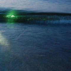 Emeralds s/t CD
