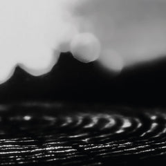 Phill Niblock // Music for Organ LP