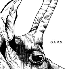 G.A.M.S. (GUIDO MÖBIUS & ANDI STECHER) // G.A.M.S. LP