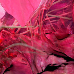 soft tissue // ST TAPE