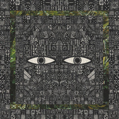 The Vision Reels // Eyes Open LP