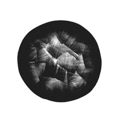 Yuko Araki // End Of Trilogy CD