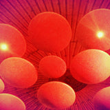 Konntinent // Closer Came The Light CD