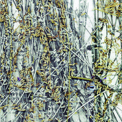 Arkm Foam // The Foam Doesn't Fall Far From The Shore LP