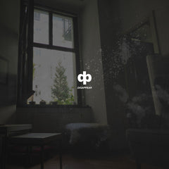 Dave Phillips // Disappear LP