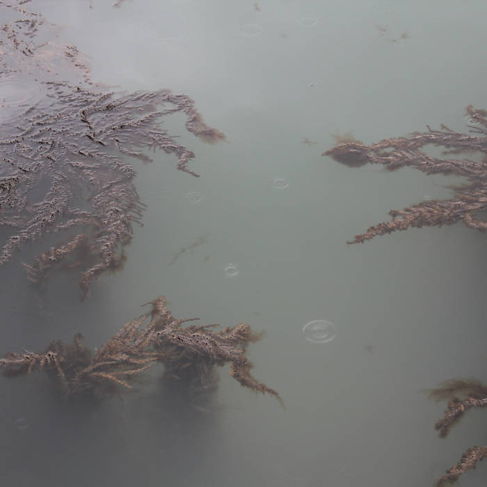 Andrew Lang // Momentary Senses  TAPE