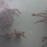 Andrew Lang // Momentary Senses  TAPE