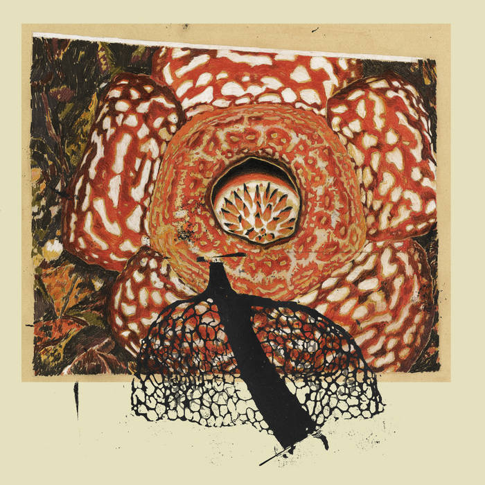 David Fenech & Klimperei // Rainbow de Nuit LP