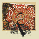 David Fenech & Klimperei // Rainbow de Nuit LP