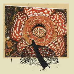 David Fenech & Klimperei // Rainbow de Nuit LP